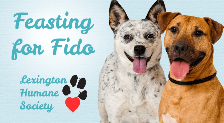 Feasting for Fido logo with image of two dogs